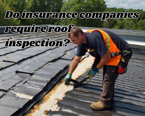 a homeowner getting his roof inspected