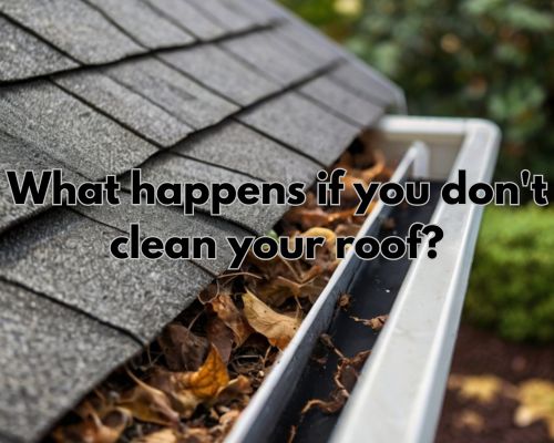 a roof gutter left uncleaned