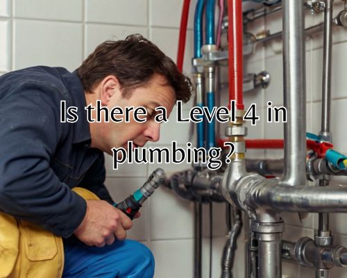 a level 4 plumber on duty